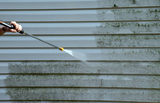 Best Residential Pressure Washing Services  in Ardia, CA