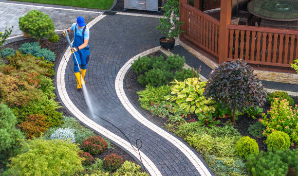 Best Local Pressure Washing Services  in Ardia, CA