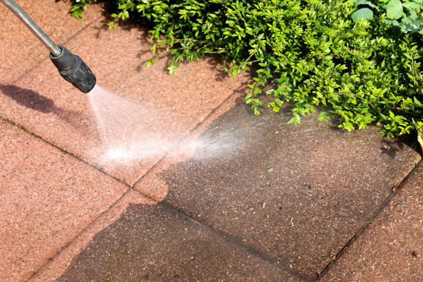 Best Pressure Washing Siding  in Ardia, CA